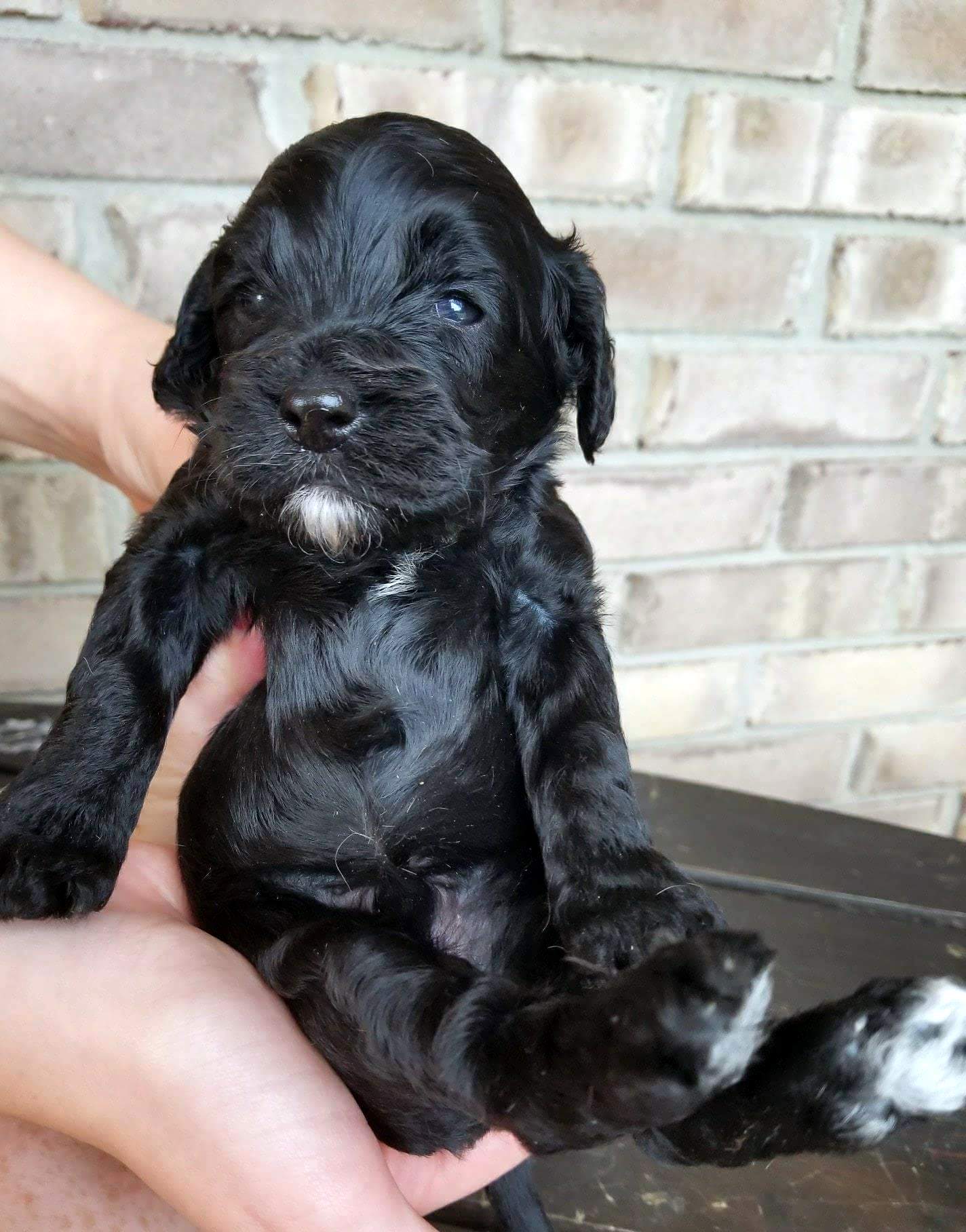 Miyagi_3weeks